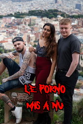 Le Porno mis à nu