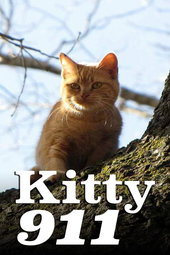 Kitty 911