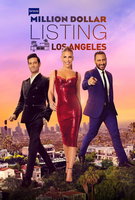 Saison 15