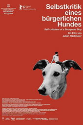 Autocritique d’un chien Bourgeois