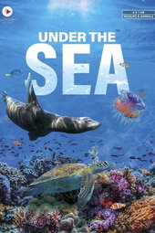 Under the Sea