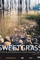 Sweetgrass