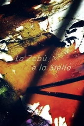 Lo zebù e la stella