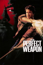 L'Arme parfaite