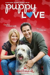 Un amour de chien