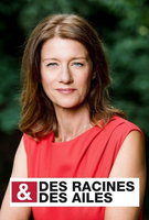Saison 29
