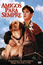 Compagnons d'aventures