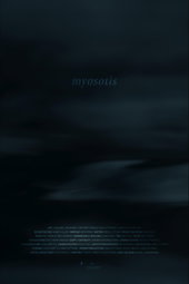 Myosotis