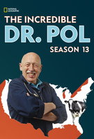 Saison 13