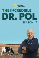 Saison 17