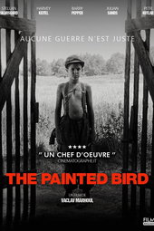 L'Oiseau bariolé