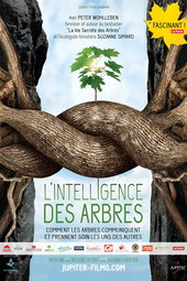 L'intelligence des Arbres