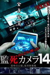 Paranormal Surveillance Camera 14