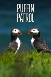 Puffin Patrol
