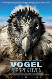 Bird's Eyeview