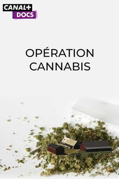 Operation Cannabis
