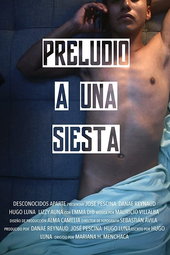 Preludio a una Siesta