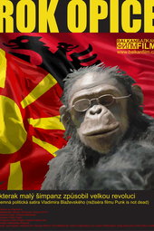 Year of The Monkey