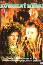 The Magic Book