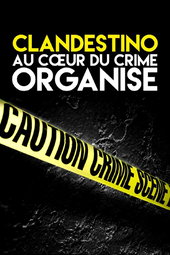 Clandestino : Au coeur du Crime Organisé