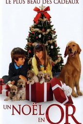 Des souvenirs pour Noël