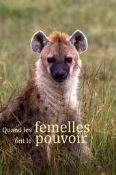 Quand les femelles ont le pouvoir - Le matriarcat dans le monde animal