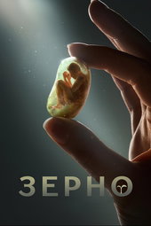 The Seed