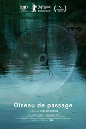 Oiseau de passage