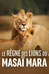 Le règne des lions du Masaï Mara