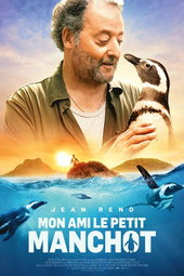Mon ami le petit manchot