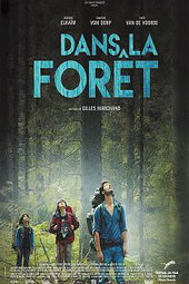 Dans la forêt