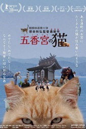 The Cats of Gokogu Shrine