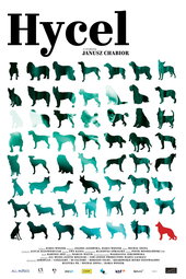 The Dogcatcher