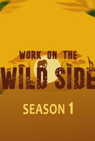 Saison 1
