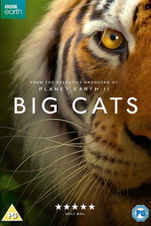 Big Cats