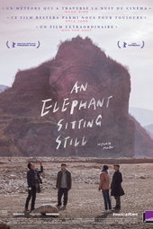 An Elephant Sitting Still