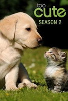 Saison 2
