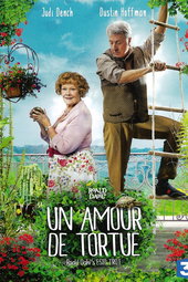 Un amour de tortue