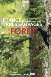 France terres sauvages : La Forêt
