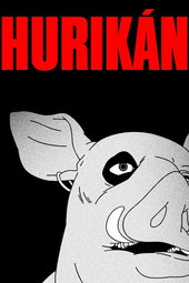 Hurikán