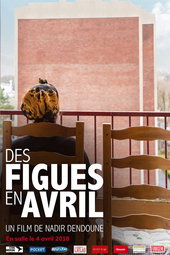 Des figues en avril