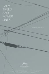 Palm Trees and Power Lines