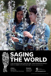 Saging the World