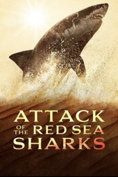 Attaque de requins en Mer Rouge