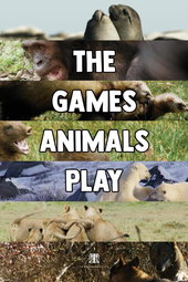 The Games Animals Play