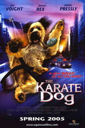 Karaté Dog