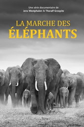 La marche des éléphants