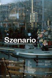 Scenario