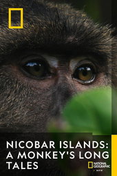 Les îles Nicobar, renaissance d’un archipel