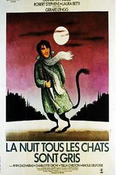 La Nuit, tous les chats sont gris